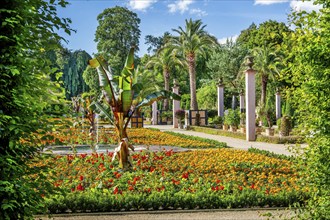 Palm garden in the spa gardens, the largest outdoor palm garden north of the Alps, spa town of Bad