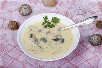 Baden cuisine, snail soup, typical Baden, vineyard snail shell, snail shells, parsley, spoon, soup