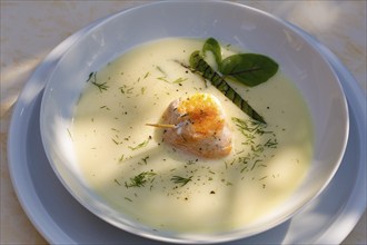 Southern German cuisine, sorrel soup with char, freshwater fish, soup arranged in a plate, herbs,