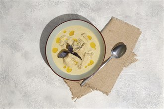 Overhead view of traditional Georgian cold dish satsivi, boiled chicken meat and walnut sauce