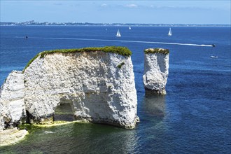 White Cliffs of Old Harry Rocks Jurassic Coast, Dorset Coast, Poole, England, United Kingdom,