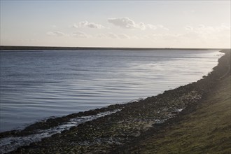 Havergate Island across the Gull channel part of the River Ore viewed from Gedgrave, Suffolk,