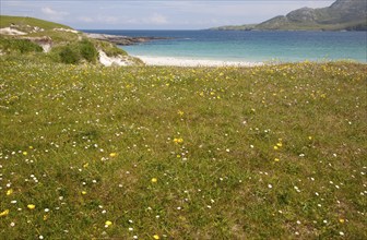 Machair grassland and sandy beach at Bagh a Deas, South Bay, Vatersay island, Barra, Outer