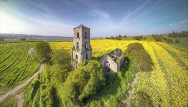 Agriculture, rape field, in full bloom, yellow, in it a church ruin, aerial view, AI generated, AI