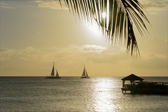 A peaceful sunset with silhouettes of sailboats and a palm leaf, jetty, Dominicus beach, Bayahibe,