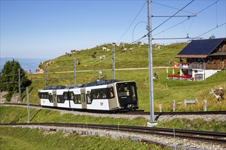 Rigi railway on Mount Rigi in the Alps in Rigi, Switzerland, Europe