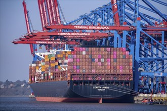 Port of Hamburg, Waltershofer Hafen, HHLA Container Terminal Burchardkai, Container Freighter