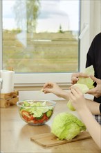 Closeup view of hands mother and a girl throwing pieces of iceberg lettuce leaves into a bowl of