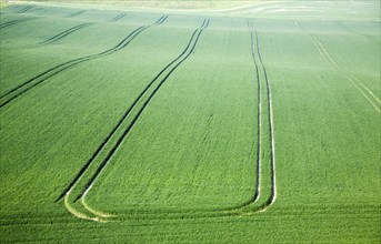 Cherhill, Wiltshire, England, UK, vehicle patterns in crops at foot of chalk scarp slope