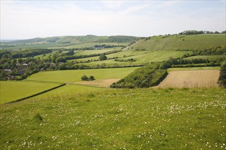 Steep chalk escarpment running westwards on the northern side of the Vale of Pewsey near Oare,