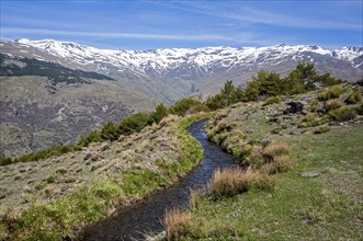 Water channel for irrigation known as an acequia, Sierra Nevada Mountains in the High Alpujarras,