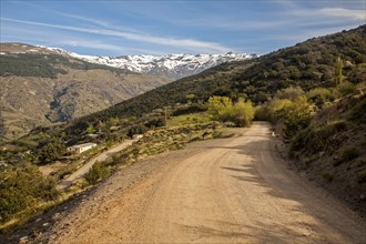 Snow capped Sierra Nevada Mountains, High Alpujarras, near Capileira, Granada Province, Spain,