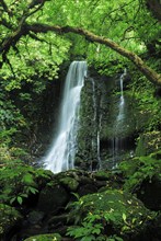 The Matai Falls in New Zealand, Otago, South Island, New Zealand, Oceania