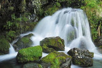 Small waterfall, Cleopatra's Pool, Abel Tasman National Park, Nelson Region, South Island New