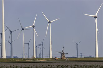 Westereems and Growind wind farms, over 80 wind turbines in total, at the Eemshaven seaport,