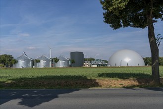 Biogas plant, storage silos, large buffer tank for hot water for intermediate energy storage,