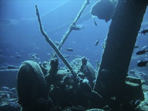 Lower deck, cargo holds, dive site wreck of the Thistlegorm, Red Sea, Egypt, Africa