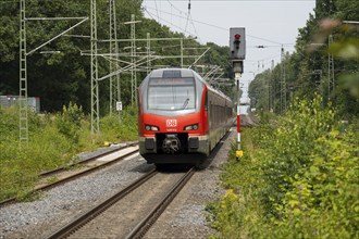 Deutsche Bahn local train, Signal, Dülmen, Münsterland, North Rhine-Westphalia, Germany, Europe