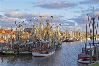 Crab cutter in the harbour of Greetsiel, the largest cutter fleet in East Frisia, Greetsiel, East