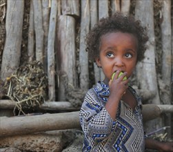 Amhara region, little girl eating fruit, Ethiopia, Africa