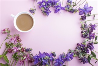 Pink and purple columbine flowers and a cup of coffee on pastel pink background. Morninig, spring,