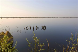 Eternal Sea, nature reserve, East Frisia, Germany, Europe