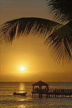 Soothing scene of a sunset behind a pier, framed by palm leaves