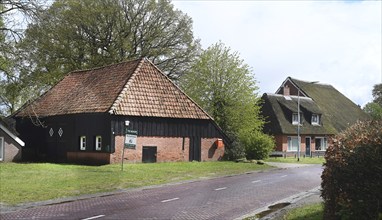 NL, Eesergroen: Spring characterises the landscape, towns and people in the province of Drenthe in