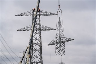 Installation of a high-voltage pylon, construction of a new line route, near Neuss-Holzheim, North