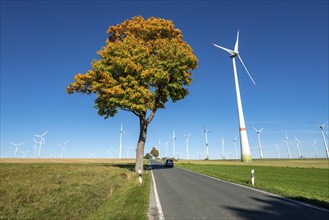 Country road, wind farm above the village of Lichtenau, self-proclaimed energy town, Paderborn