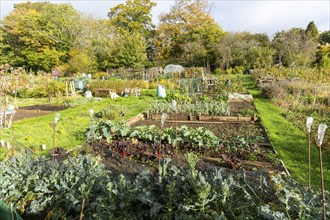 St Stephen's community allotment gardens, Lansdown, Bath, Somerset, England, UK