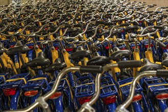 Bicycles at the OV-Fiets rental station, at Utrecht Central Station, hundreds of rental bikes