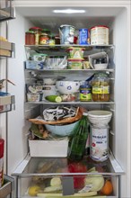 Filled fridge of a family of 4, North Rhine-Westphalia, Germany, Europe