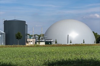 Biogas plant, large buffer storage tank for hot water for intermediate energy storage, dome-shaped