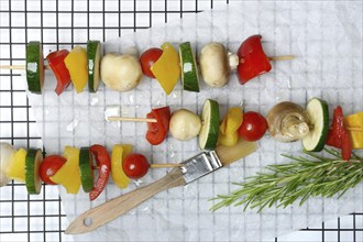 Colourful vegetable skewers, raw barbecue skewer