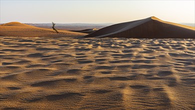 Sand structure formed by the wind, in the Rub al Khali desert, Dhofar province, Arabian Peninsula,