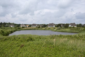 Frisian houses with thatched roof by the pond, Greveling, Wyk, Föhr, North Sea island, North