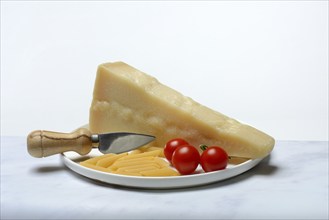 A piece of Parmesan cheese with cheese knife, pasta and tomatoes, Italy, Europe