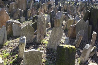 The Old Jewish Cemetery in the Josefov district is one of the most historically significant Jewish