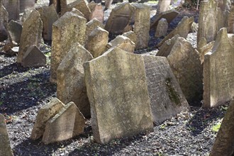 The Old Jewish Cemetery in the Josefov district is one of the most historically significant Jewish