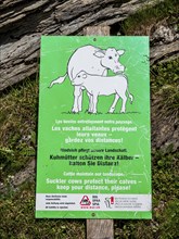 Warning sign, keep distance of suckler cows protecting their calves, lake Lac de Moiry, Valais,