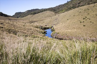 Meandering small Belihul Oya river in V shaped valley Horton Plains national park, Sri Lanka, Asia