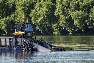 Mowing boat Nimmersatt, of the Ruhrverband, tries to keep the green plant carpet on the Lake