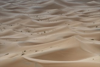 Dunes in the desert, Erg Chebbi, Sahara, Merzouga, Morocco, Africa