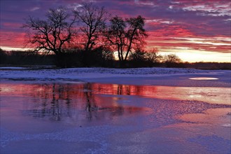 Winter floods 2024 on the Elbe and Mulde rivers with flooding of the meadows, ice on the meadows