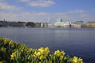 Germany, Hamburg, City, View over the Inner Alster Lake to the Neuer Jungfernstieg, daffodils,