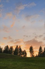 Silhouettes of trees in front of a colourful cloudy sky at sunset, Switzerland, Europe