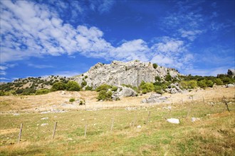 Landscape in Sierra de Grazalema natural park, Cadiz province, Spain, Europe