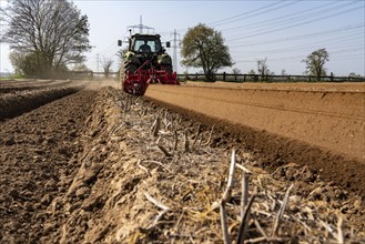 A farmer builds asparagus ridges on a field with the help of an asparagus tiller, in which the