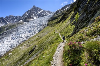 Hiking on the trail to La Jonction, Glacier des Bossons, behind the summit of the Aiguille du Midi,